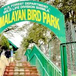 Himalayan Bird Park Tourism in Shimla Himachal Pradesh